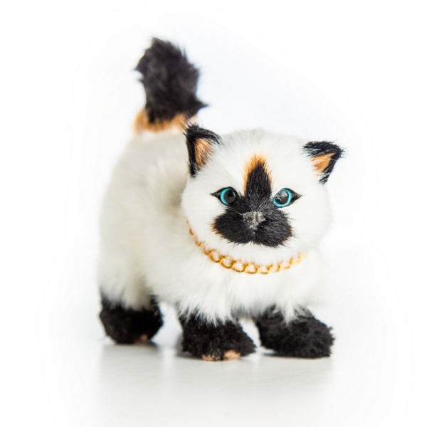 american girl doll pet siamese kitty cat