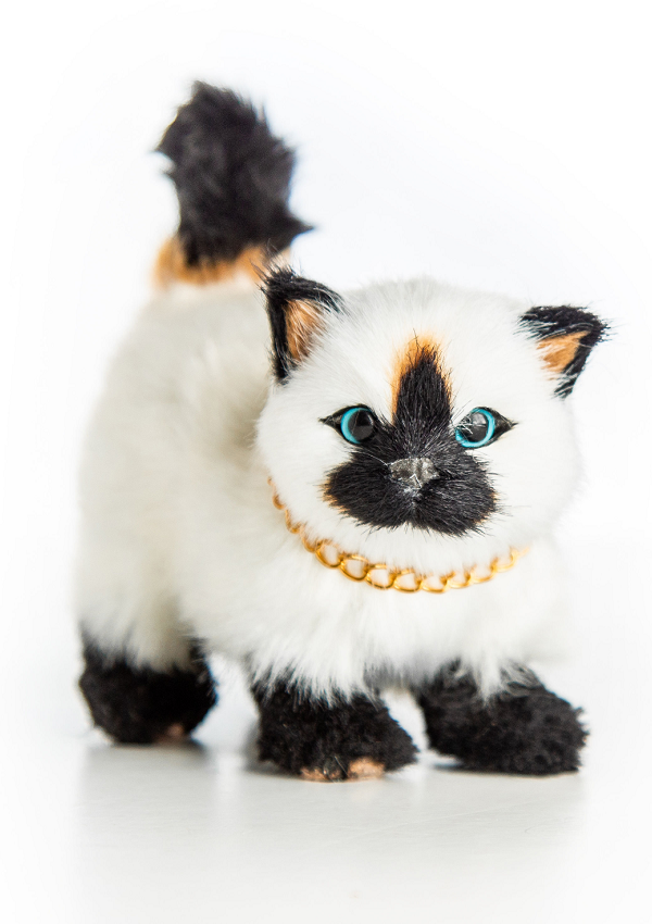 American Girl Doll Pet Siamese Kitty Cat