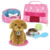 Boxed Gift Set Plush Puppy with Carrier & Accessories