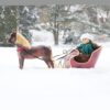 18" Doll Heavy Duty Old-Fashioned Sleigh - (Horse & Doll Not Included)