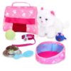 Boxed Gift Set Plush Kitten with Carrier & Accessories